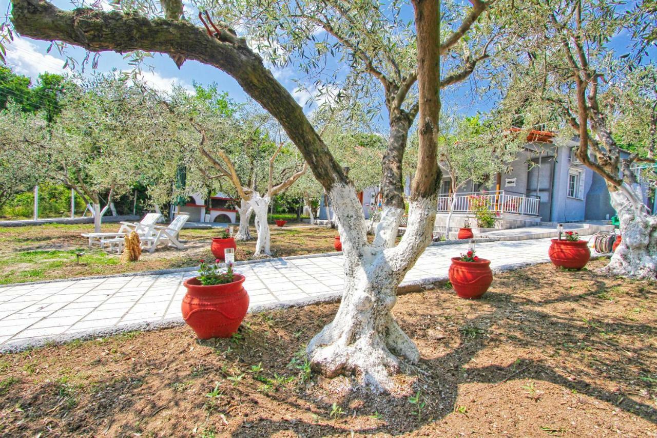 Вилла The House Of Olive Trees Nea Iraklitsa Экстерьер фото